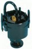 BMW 16141180118 Fuel Pump